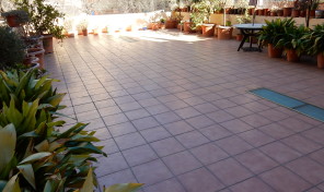 DSCN5003