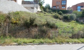 DSCN4451